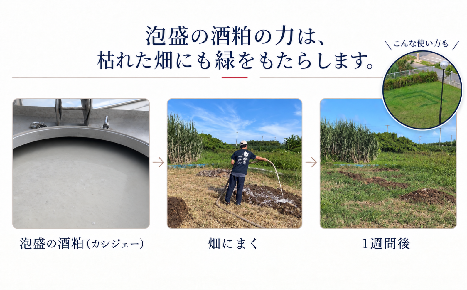 畑や家畜への活用から、もろみの成分に着目した背景