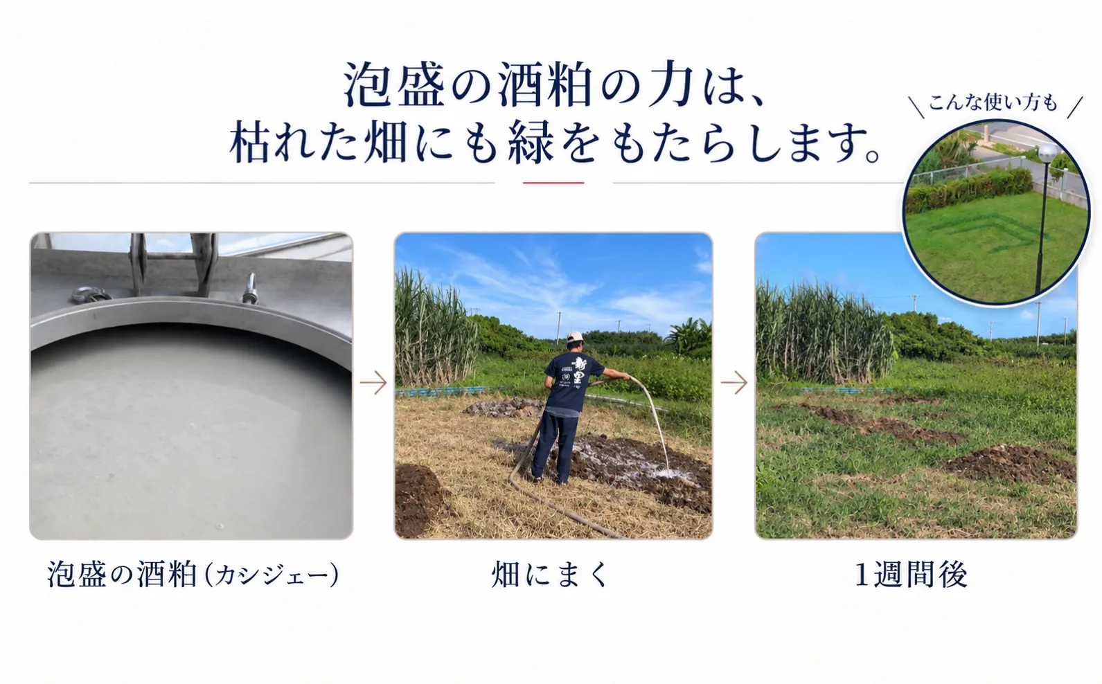 畑や家畜への活用から、もろみの成分に着目した背景